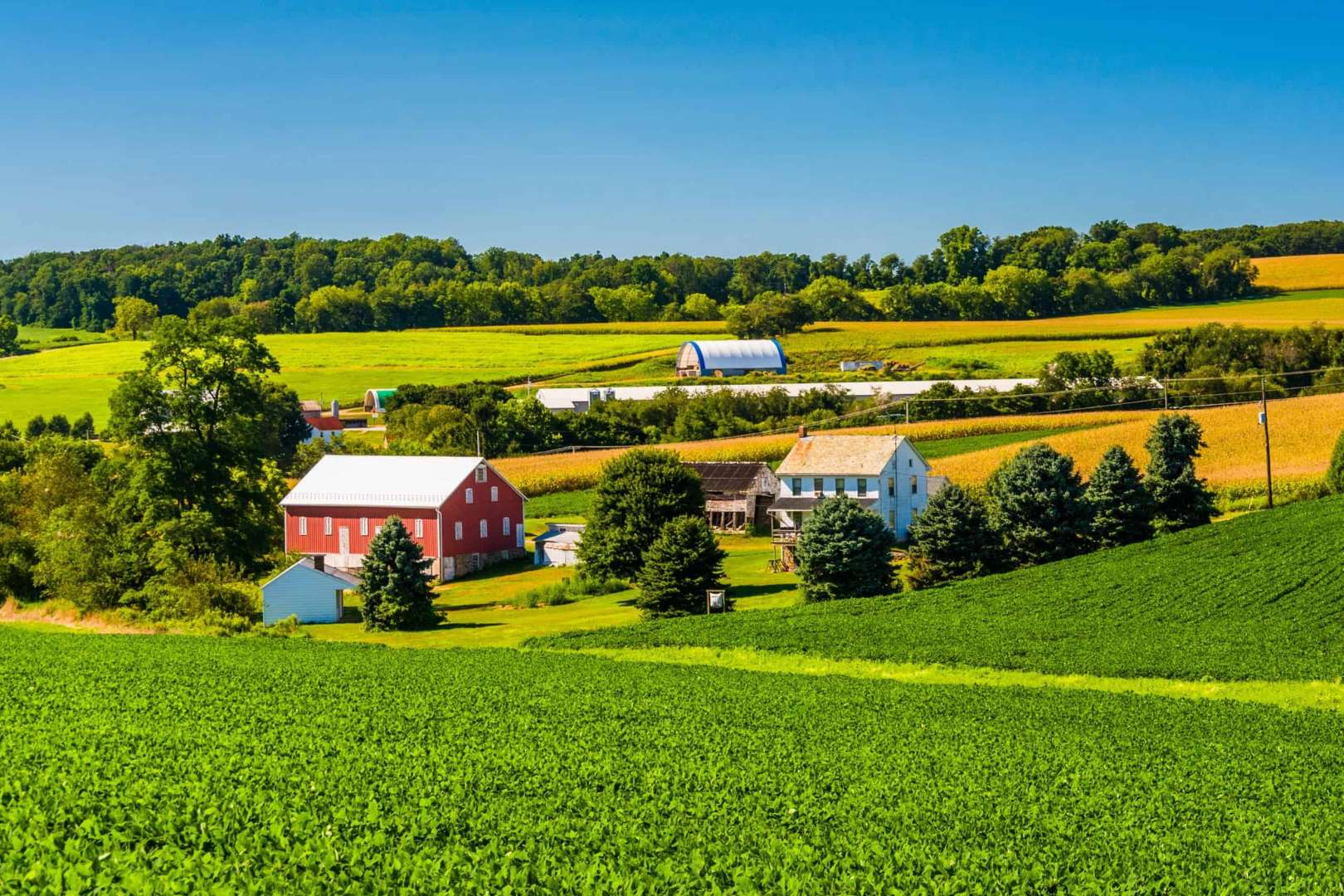 Farm landscape with red barn and farm house